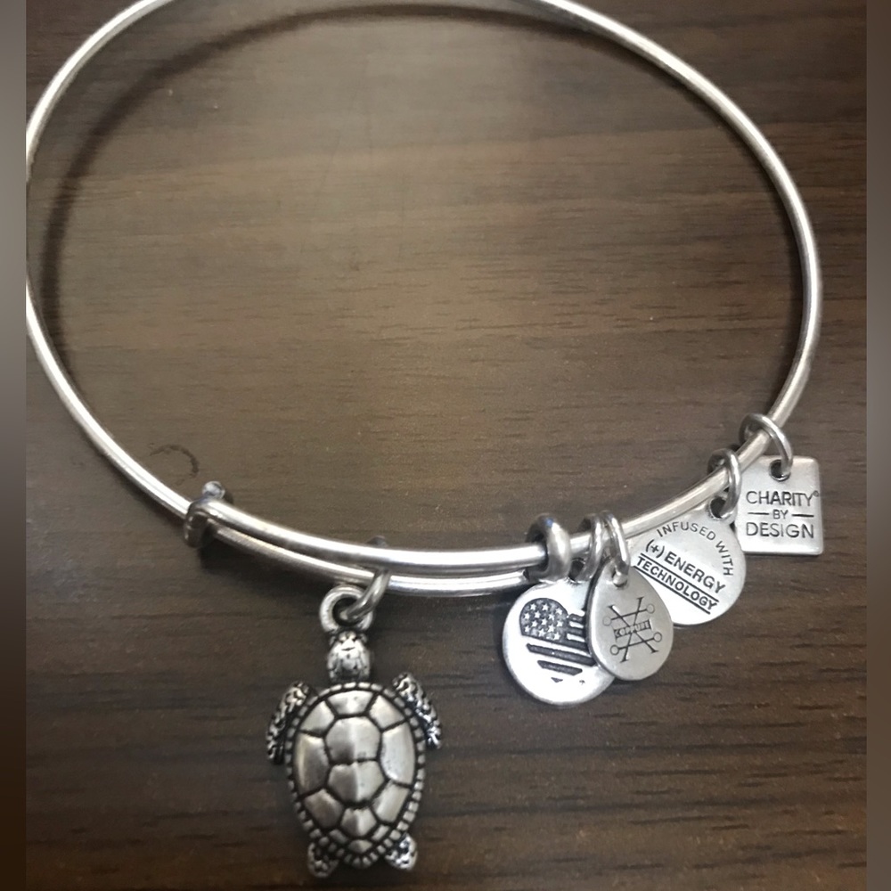 Alex and Ani “Turtle”  silver bracelet